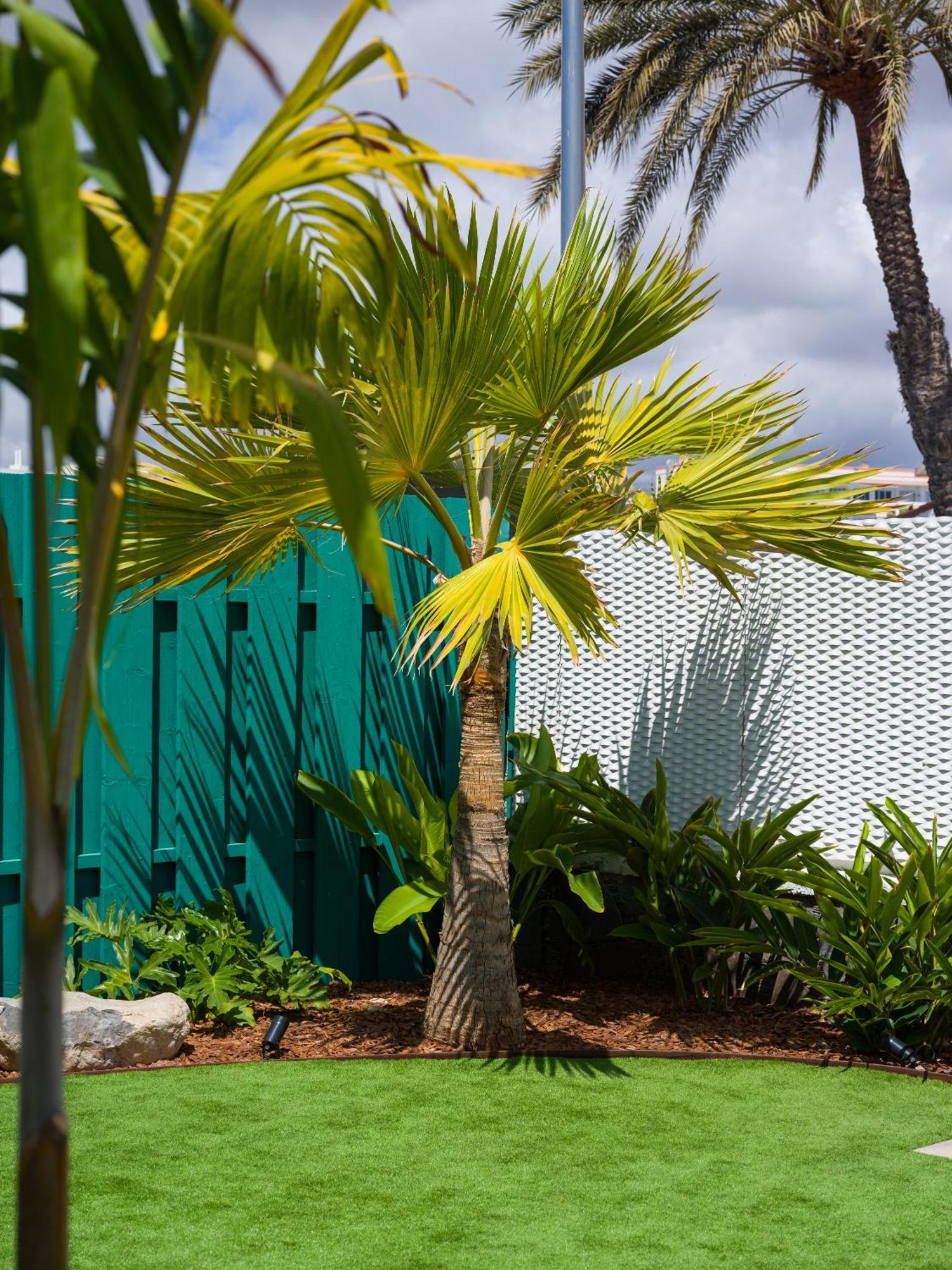 Miami Queens Villa With Private Pool By Tenpropertiesgc San Bartolomé エクステリア 写真